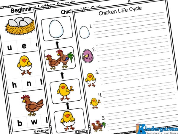 fill in the life cycle of a chicken, chicken life cycle poster, beginning letter sounds with chicken theme life cycle of a chicken