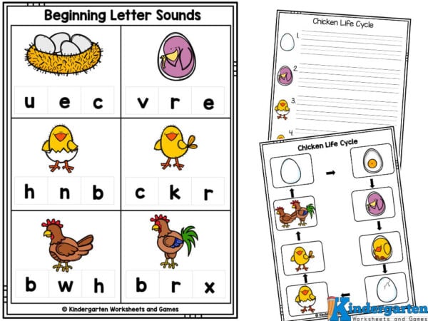 embryo, chick, hatching, eggs in a nest, rooster, hen, and chicken life cycle clipart and worksheets for kids life cycle worksheets