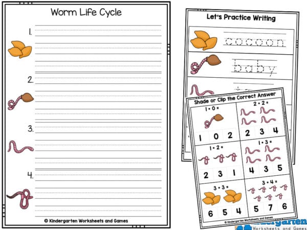 learn about hte worm life cycle and the different stages like cocoon, baby, and more Earthworm Life Cycle