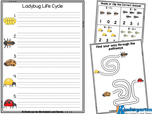 insect mazes, lady bug math,alphabet, alphabetizing, counting, and more for preschool, pre-k, kindergarten, and grade 1 students ladybug worksheets