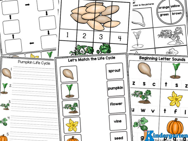 pumpkin worksheets Did you know that pumpkin carving can be a fun way to learn some science too? This October, sneak in some educational activities with these pumpkin life cycle worksheets! Grab the FREEÂ free pumpkin life cycle printable to learn about the fascinating process of how gigantic pumpkins grow, but also incorporate exciting pumpkin activities for learning math and literacy skills! It's the perfect combination of fun and learning. This pack helps preschoolers, kindergartners, and grade 1 students explore everything from planting the seeds to seeing those pumpkins grow bigger and bigger! From counting seeds to tracing letters, these worksheets engage young minds in a variety of interactive tasks. You'll be amazed at how much they'll absorb as they complete the activities!