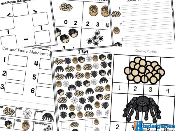 spider worksheets Spiders go through a fascinating life cycle! Just like humans, spiders start as eggs. These eggs are placed in a silk-like sac that the mother spider carefully guards. When the tiny spiderlings hatch, they resemble miniature versions of their parents. As they grow, they molt their exoskeleton several times. This shedding helps them to grow bigger and stronger. In their adult stage, they develop into full-sized spiders, ready to mate and continue the cycle. Spiders may have different life spans, but they all go through similar stages.