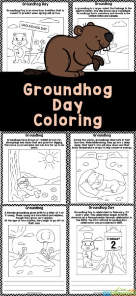Introduce children to the special day on February 2nd with these Groundhog day coloring pages. These free groundhog day printables are filled with information about the ground hog day tradition, appearance /habitat / diet of the groundhog, hibernating groundhogs, and more. Simply print the ground day coloring page and you are ready to play and learn!