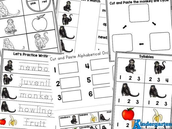 Monkey worksheets If your kids love monekys, you will love these monkey worksheets that cover math, literacy, and monkey life cycle too! These life cycle worksheets help preschoolers, kindergartners, and grade 1 students get introduced to the life cycle of a monkey. Whether you use these monkey printables for a science lesson about animals, a m is for monkey weekly theme, or as you explore animals for an animal theme or zoo theme - you will love these free kindergarten worksheets. This set of engaging pages allos children to practice their essential skills while learning about the fascinating life cycle of monkeys!