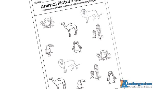In this animal picture matching worksheet, kids will have to draw a line to connect with the matching picture. Kids will have to draw lines from the blank spaces as per their imagination to connect the matching images. 