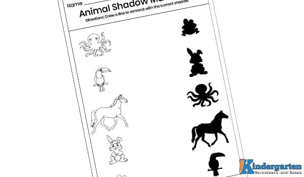 Next is this animal shadow matching worksheet, children will draw a line to connect each animal picture to its matching shadow picture.