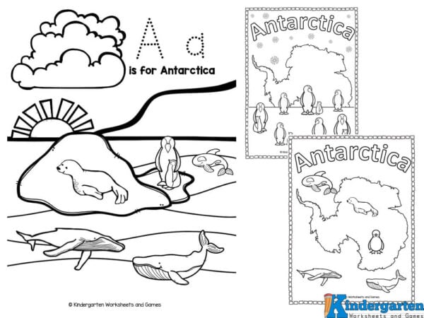 Here are just some of the animals that call Antarctica home - Emperor Penguin, Weddell Seal, Leopard Seal, Adelie Penguin, Killer Whale, Minke Whale, Humpback Whale, Antarctic Fur Seal, Wandering Albatross, Chinstrap Penguin,  Gentoo Penguin,  Elephant Seal, Antarctic Petrel, Southern Fulmar, Blue Whale, Crabeater Seal, King Penguin, Antarctic Krill, Snow Petrel, Antarctic Tern