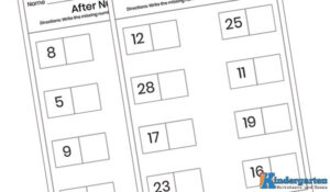 FREE Before and After Number Worksheets for Kindergarten