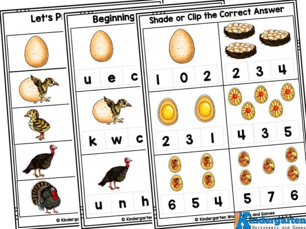 learn about the different stages in a turkey life cycle plus work on identifying beginning sounds, counting, tracing letters, and more turkey printables