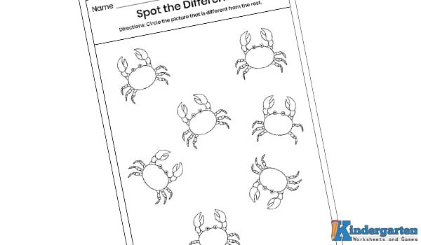 Spot the Difference Worksheet
