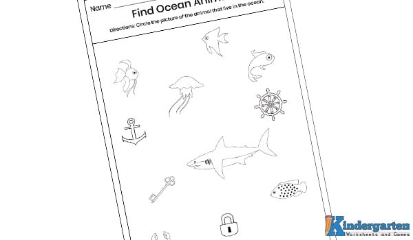 kindergarten ocean worksheets