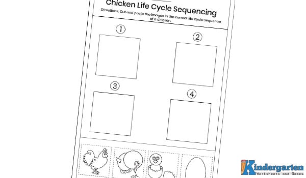 In this worksheet, kids will cut out the pictures and paste them in the correct order to show the life cycle of a chicken—from egg to chick to adult hen. This engaging activity helps children learn about animal life cycles and understand how living things grow.