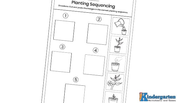 In this planting sequence worksheet, kids will have to cut and paste the image in the correct planting sequence. This activity helps children understand the steps of plant growth, build sequencing skills, and practice fine motor control.