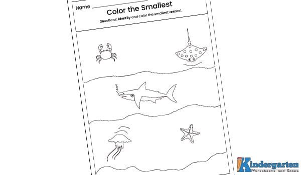 In this write big or small worksheet, kids will compare the two pictures in each row. After finding which object is big and which one is small, they will write the words "big" and "small" in the correct places. This activity helps children practice size recognition and simple word writing.