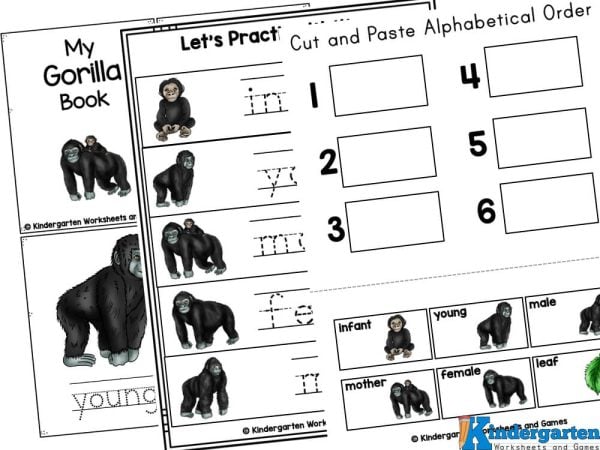 life cycle of a gorilla Are your students exploring the animal kingdom? You'll love these engaging life cycle worksheets designed for kids of all ages, featuring the fascinating life cycle of a gorilla! These free printable gorilla worksheets provide a fun way for children to strengthen their math and literacy skills while discovering the gorilla life cycle from infancy to adulthood. Simply download the gorilla printables, and you're all set for an educational adventure! Perfect for any classroom or homeschooling environment, these resources make learning about life cycles both interactive and enjoyable.Â