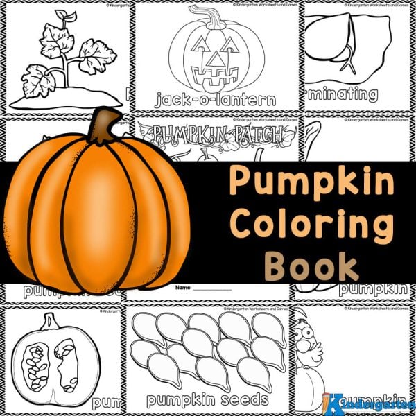 Download this free printable pumpkin coloring book to teach young children about the pumpkin life cycle through fun coloring activities, perfect for preschool, pre-k, kindergarten, and first graders!