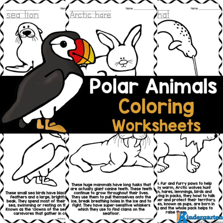Polar Animals Kindergarten Coloring Pages
