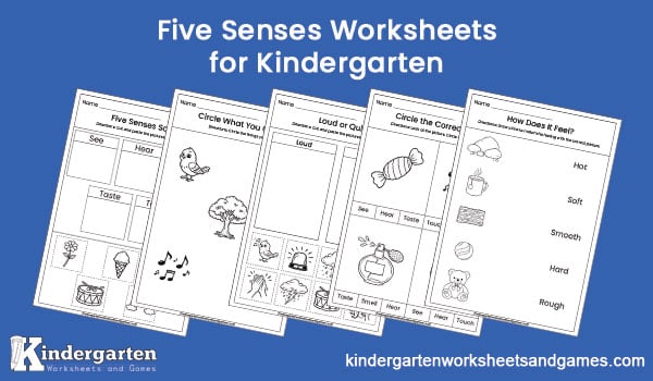 Discover exciting, no-prep free printable worksheets to help kindergarteners learn about the five senses in a fun and engaging way, perfect for home or classroom use!
