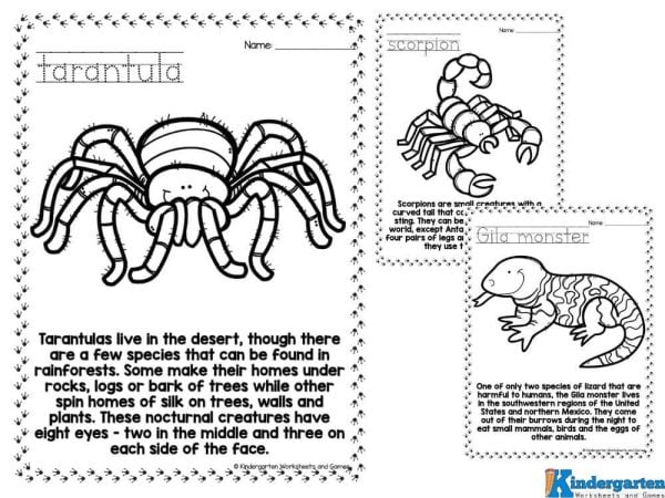 Kindegarten Coloring Worksheets Looking for a fun way for kids to learn about dessert animals? Check out these free printable coloring pages! Ideal for preschoolers, kindergartners, and first graders, these pages allow children to express their creativity while discovering interesting facts about incredible animals. As they color, they'll also read simple text that teaches them about the importance of protecting these species.Â