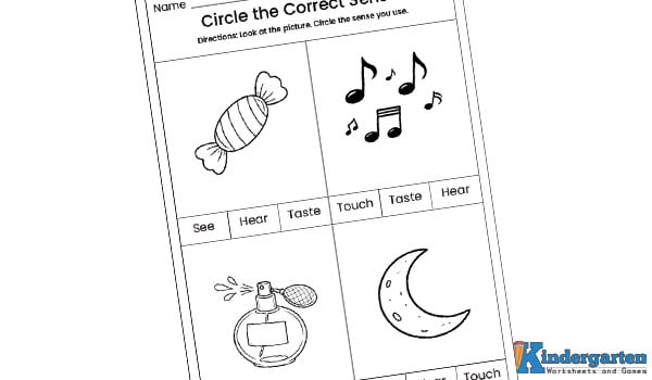 In this worksheet, kids will look at a picture and circle the sense they use to experience it. This activity helps children understand which sense is used in different situations. Circle the Correct Sense