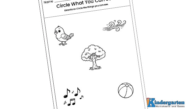 In this worksheet, kids will look at different pictures and circle the things they can see. This activity helps children recognize objects using their sense of sight in a fun and simple way. Circle What You Can See