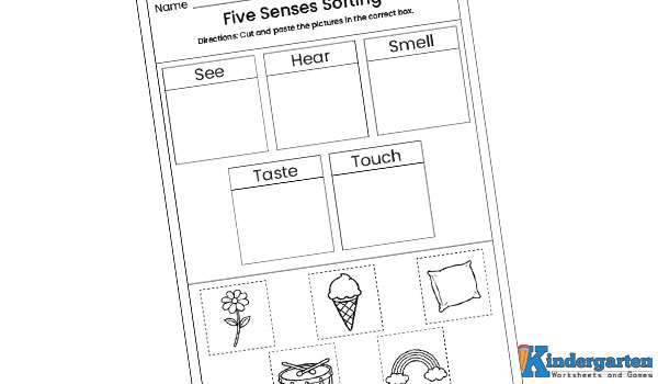 In this worksheet, kids will sort pictures based on the five senses — see, hear, smell, taste, and touch. They will cut and paste the pictures into the correct box. This activity helps children understand how each sense is used in everyday life. Five Senses Sorting Worksheet