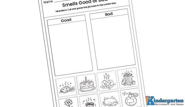 In this worksheet, kids will look at different pictures and decide whether the smell is good or bad. They will cut and paste the pictures into the correct box. This activity helps children explore their sense of smell. Smells Good or Bad Worksheet