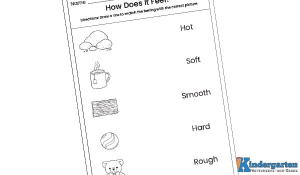 In this worksheet, kids will match different feelings such as hot, cold, smooth, soft, hard, and rough with the correct pictures. This activity helps children explore textures using their sense of touch. How Does It Feel