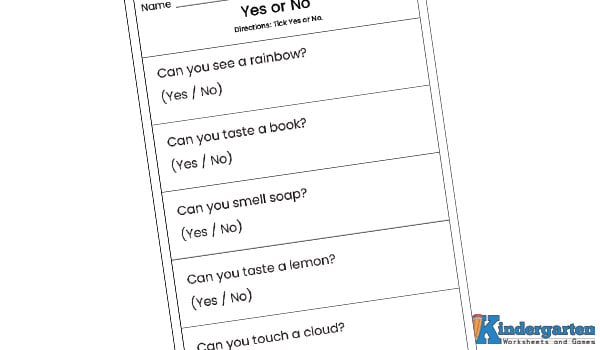 In this worksheet, kids will read simple questions about the senses and tick yes or no. This activity helps children think about how they use their senses in everyday life. Yes or No Worksheet