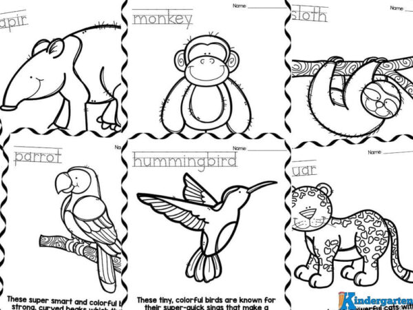 free coloring pages Introducing our exciting new printable pack featuring twenty captivating animals, each with a unique charm!
1. Anteater: This fascinating creature is known for its long snout and incredible ability to consume thousands of ants and termites daily.
2. Blue Morpho Butterfly: With its vibrant blue wings, the Blue Morpho is one of the largest butterflies in the world and a true spectacle in the tropics.
3. Capybara: The world's largest rodent, Capybaras are social animals that thrive in groups near bodies of water.
4. Chameleon: Famous for its ability to change colors, the chameleon uses this unique trait for communication and camouflage.
5. Hummingbird: These tiny birds are known for their rapid wing beats and remarkable ability to hover in mid-air while feeding on nectar.
6. Inis: A little-known yet intriguing animal, the Indian Pangolin, often referred to as Inis, is covered in protective scales and is a master digger.
7. Jaguar: The powerful and majestic apex predator of the rainforest, Jaguars are known for their stunning rosette-patterned fur and exceptional swimming ability.
8. Leaf Cutter Ant: These industrious insects are famous for their unique behavior of cutting and carrying leaves back to their colonies to cultivate a special fungus.
9. Monkey: Agile and intelligent, monkeys are social creatures that have various species, each exhibiting fascinating behaviors and interactions.
10. Panther: Often associated with mystery, Panthers are large cats typically known for their sleek black fur and stealthy hunting techniques.
11. Parrot: Renowned for their vivid plumage and remarkable ability to mimic human speech, parrots are beloved pets and intelligent birds.
12. Piranha: With sharp teeth and a reputation for their fierce feeding frenzy, Piranhas are one of the most notorious fish in the Amazon River.
13. Rhinoceros Beetle: These impressive beetles are known for their strength and distinctive horns, making them stand out in the insect world.
14. Sloth: Famous for their slow movements and adorable faces, sloths are tree-dwelling mammals that spend most of their lives hanging upside down.
15. Tapir: With a distinctive snout resembling that of a miniature elephant trunk, Tapirs are herbivores that thrive in dense rainforest habitats.
16. Tarsier: These tiny primates have enormous eyes and incredible agility, making them one of the most captivating creatures in the animal kingdom.
17. Tiger: The largest of the big cats, Tigers are known for their striking orange-and-black stripes and powerful presence in the wild.
18. Toucan: Easily recognizable by their vibrant, oversized beaks, Toucans are colorful birds that play an essential role in their ecosystems.
19. Tree Boa: This striking snake is known for its beautiful patterns and ability to blend seamlessly into its forest surroundings.
20. Tree Frog: With their bright colors and unique vocalizations, tree frogs are a delightful addition to any garden or rainforest setting.