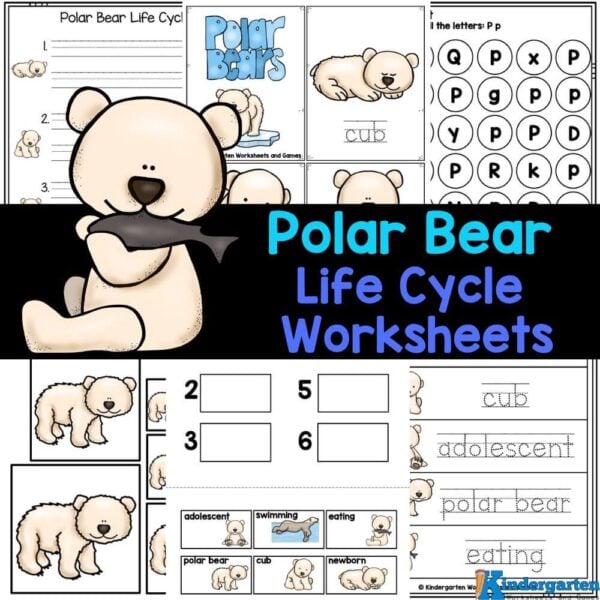 Check out these free printable worksheets on the polar bear life cycle, perfect for helping kids of all ages learn math, literacy, and other skills while exploring this fascinating animal!